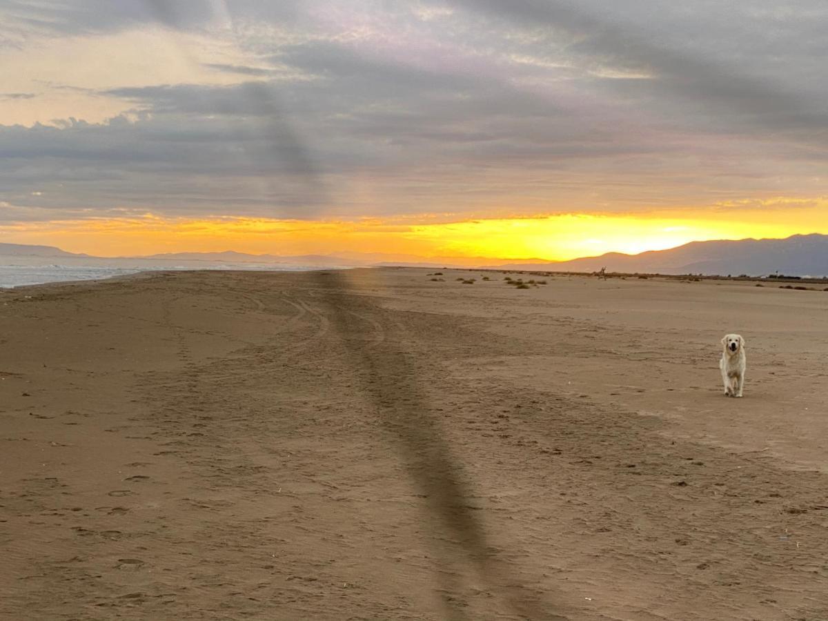 La Calma Del Delta Villa L'Eucaliptus Bagian luar foto